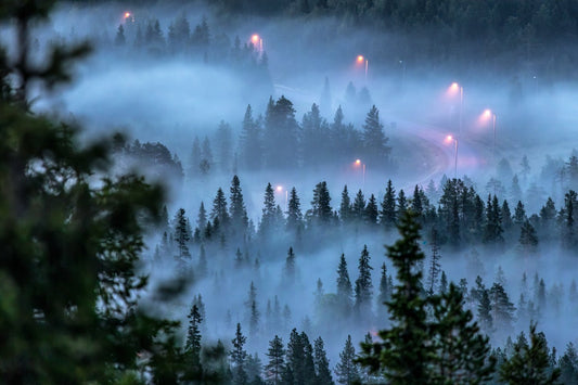 Aerial photo of fog-covered forest with winding road and streetlights, landscape fading in the mist.